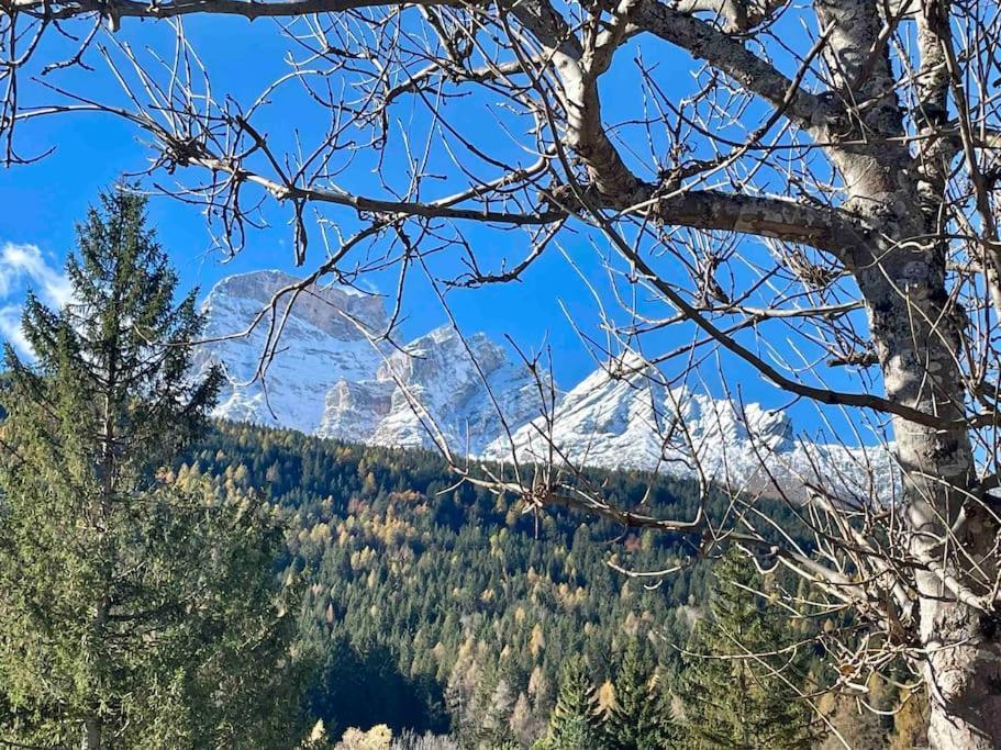 Home In Dolomiti Villanova  Εξωτερικό φωτογραφία